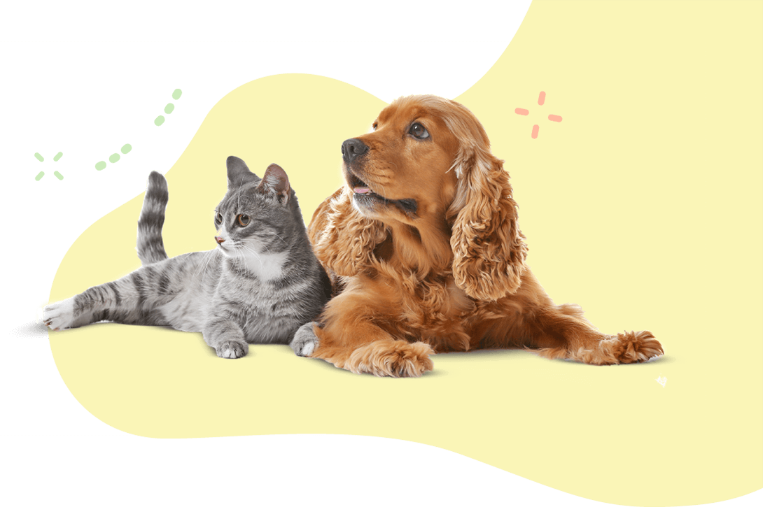 https://courtneyspawsomeretreat.com/wp-content/uploads/2019/08/hero_image_11.png