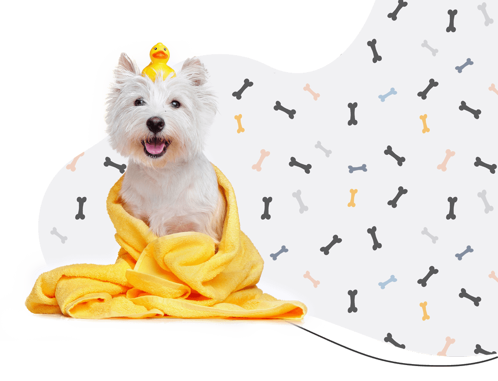 https://courtneyspawsomeretreat.com/wp-content/uploads/2019/08/hero_prices.png
