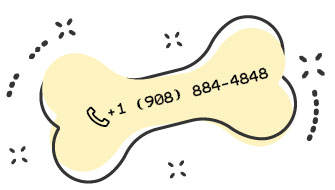 https://courtneyspawsomeretreat.com/wp-content/uploads/2024/06/text_04.jpg