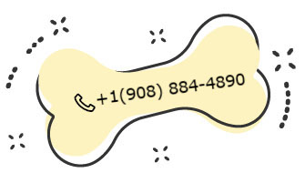https://courtneyspawsomeretreat.com/wp-content/uploads/2024/10/phone.jpg
